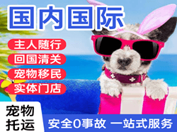 虹桥空运公司国际宠物托运 【国